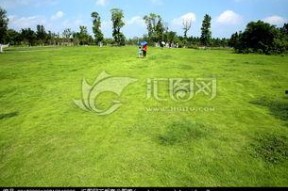 青青青草国产免费观看,国产免费观看，绿色生态影视盛宴